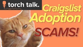 Craigslist Adoption Scams
