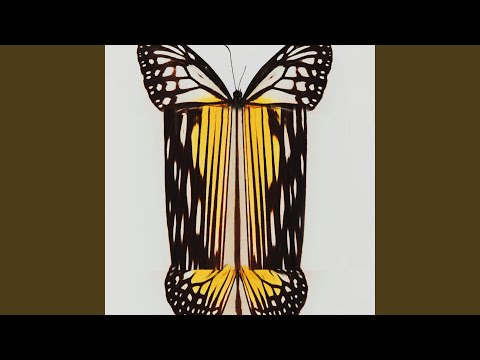 Butterfly (feat. Benji. & My Favorite Color)