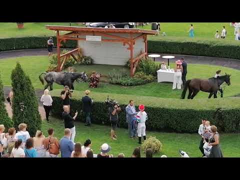 98.Magyar Derby - Csenge nyilatkozik