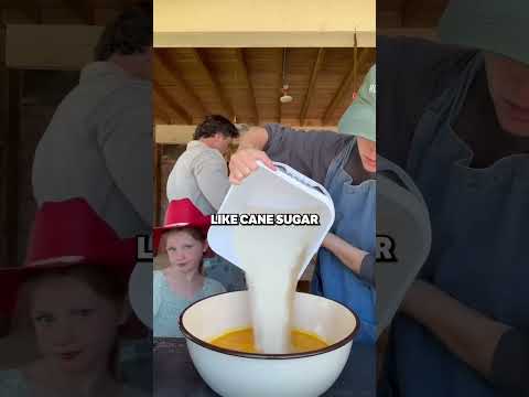 Drumsticks Are Not Actually Real Ice Cream