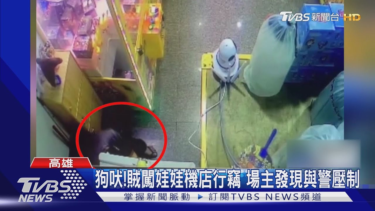 多虧毛小孩狂吠!賊闖娃娃機店竊17萬 場主發現逮人