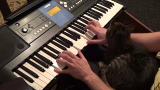 Nemesea - Let It Burn cover