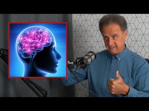 Kako pravilno koristiti mozak - Branislav Maričić