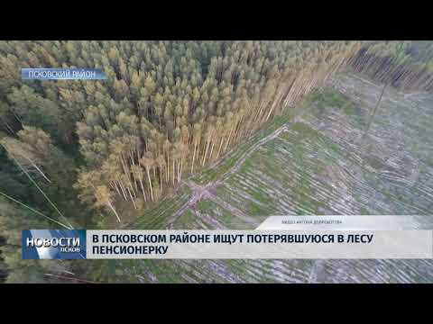 Новости Псков 12.09.2018 # Спасатели продолжают поиски пропавшей в лесу пенсионерки 