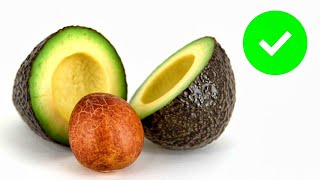 5 Beneficios de la Semilla de 🥑 AGUACATE o PALTA 🥑 Propiedades y cómo consumirla. Lunacreciente