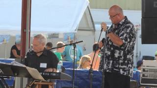 Ronan Tynan sings Halelujah Cleveland Irish Festival 7/21/13