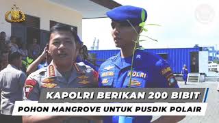 Download lagu 200 Bibit Pohon Mangrove Untuk Pusdik Polair mp3
