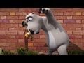 Bernard Bear ‍ ️ The Little Dog Funny Cartoon For Kids