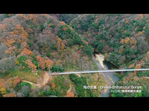 【空撮】鬼の舌震＠島根県観光連盟