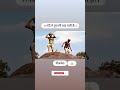 नदी मे तूफानी बाढ चली है Animationvideo Bapsswaminarayan Nilka