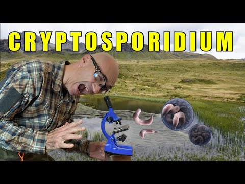 , title : 'Sono il Cryptosporidium !! Boooo!! 👻😬'