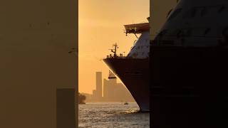 Freedom of the Seas 🛳️ #royalcaribbean #travel #cruiseship #cruise #vacation #shorts #travelshorts