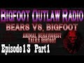 BigFoot 2017 Bigfoot Outlaw Radio Ep13 Animal Behaviorist Talks Bigfoot And Government Kno The Bes