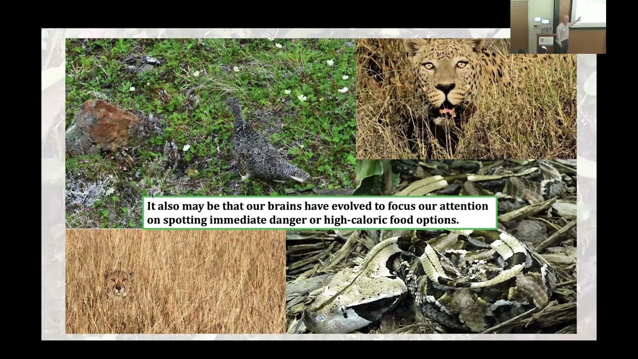 Lunchbox Talk: If Not Us, Who? Rebuilding Botanical Capacity for the Southeast