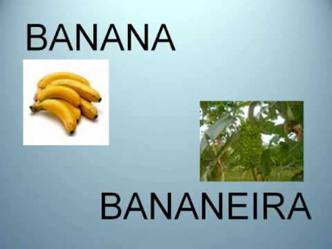 POMAR para youtube.wmv