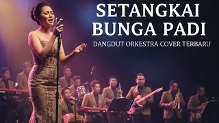 Download lagu Setangkai Bunga Padi - Santa hoky | dangdut orchestra lirik version | Langit dangdut mp3