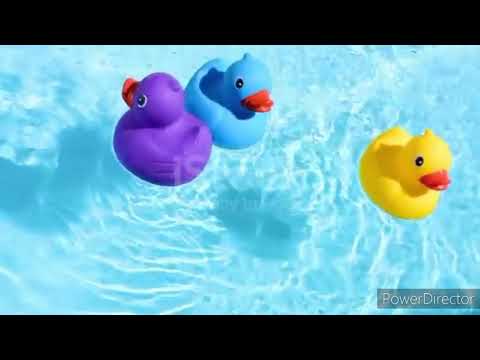 rubber duckies swimming pool