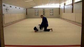Sliding off the Turtle's Shell - Rear Slideoff
