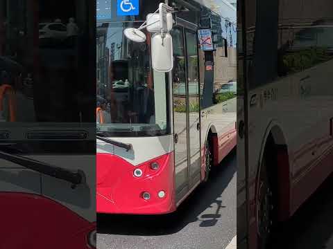 セナールバスのバスネットワーク - 定義