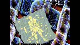 Source of Tide - Ruins of Beauty (An Ode to the Art of Self-Destruction, Epilogue)