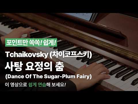 사탕 요정의 춤 영상