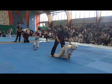 Young Lions Cup 2019 - Raimonds Zbitnevs Kampf 4