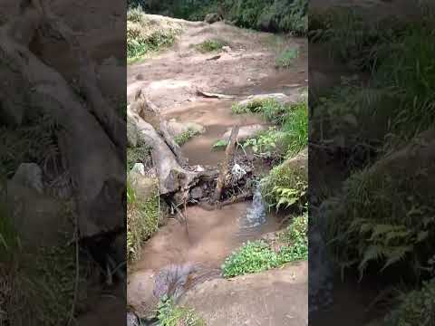 CASCADA DE VILLA PADRE MONTI dpto Burruyacú TUCUMÁN ARGENTINA