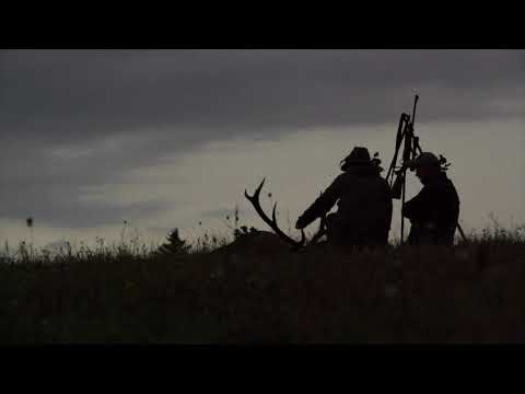 Jagd im Hirschland Pommern | 2020 Trailer