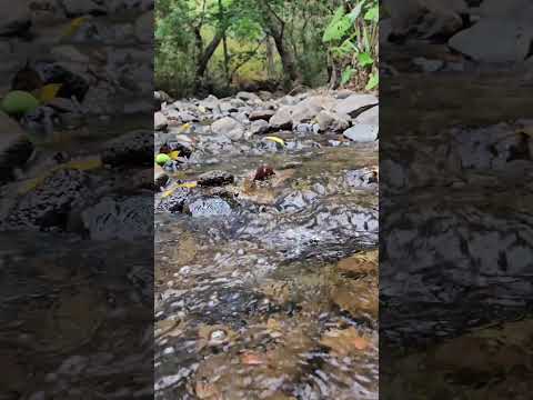Desde la ciudad de La Unión hasta el cantón El Derrumbado en Lislique.