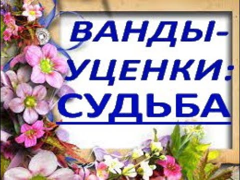 ВАНДЫ-уценки:ЧТО СЛУЧИЛОСЬ за 5 месяцев.Орхидеи.Орхидея ванда.