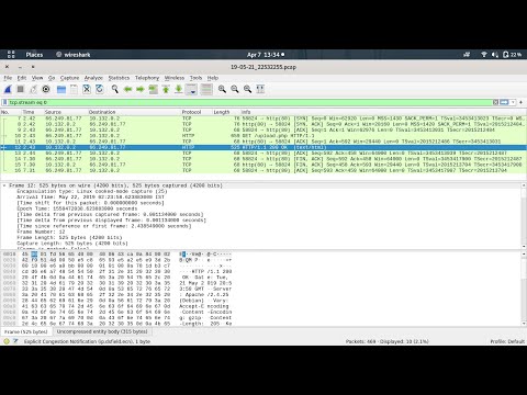 MarketDump | Forensics Challenge of Hack The Box (HTB) solution using Wireshark