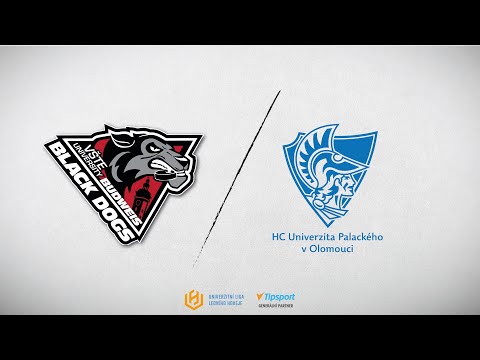 Sestřih: Black Dogs Budweis - HC Univerzita Palackého v olomouci 10:1