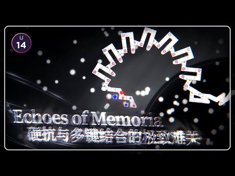 [World First Clear!/21.3 U14]  Ludicin-Echoes of Memoria 99.76% Clear