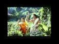 Mylapore Mamiae Song