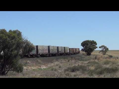 3PM4 Nrs 51 / 82 / 23 & 9323 Murtoa Vic  12 3 2021