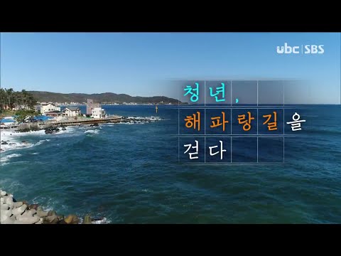 2020/12/12 테마스페셜 <청년 해파랑길을 걷다>