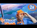 Blippi Visits An Aquarium The Florida Aquarium 2 HOURS OF BLIPPI ANIMAL VIDEOS FOR KIDS