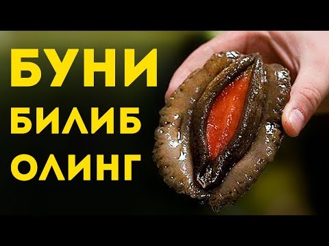 БИЗДАН НИМАНИ ЯШИРИШАДИ ? ТОП 10 ФАКТЛАР / QIZIQARLI DUNYO