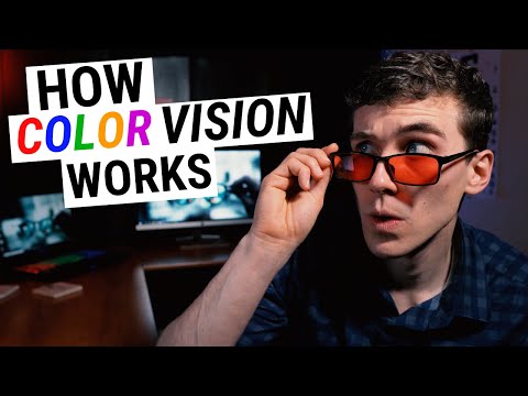 How COLOR VISION Works (Types of Color Blindness, Genetics & Disease)