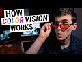 How COLOR VISION Works (Types of Color Blindness, Genetics & Disease)