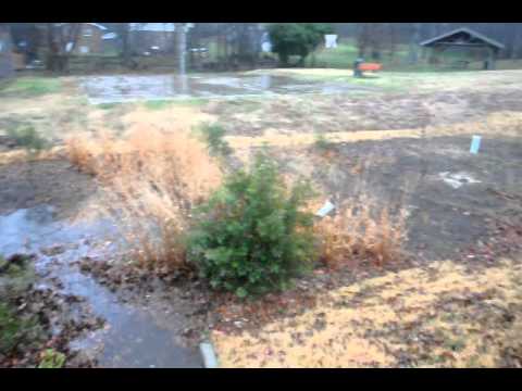 Baldwin Park Rain Garden