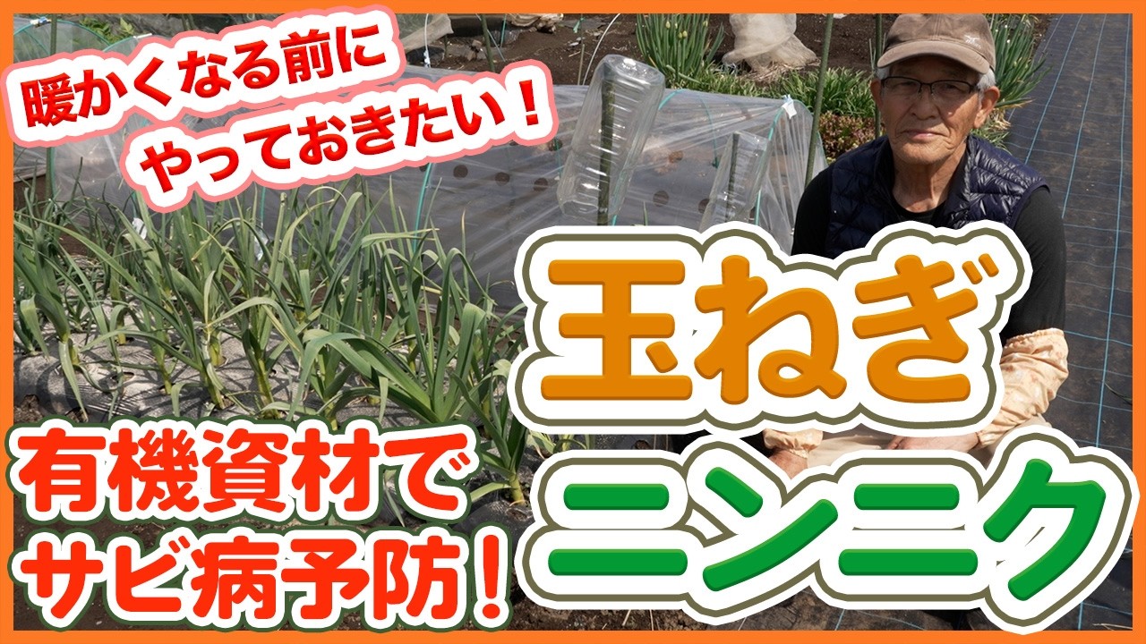 【玉ねぎ・ニンニク栽培】サビ病を防ぐ！有機資材でできる対策を徹底解説！【シェア畑】【農園ライフ】