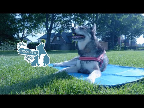 Coolpets Gel Cooling-Matte