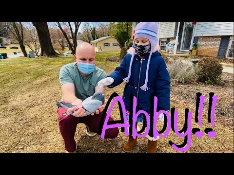 Our first racing pigeon auction to benefit 5 year old girl with cancer. Watch for warm fuzzies