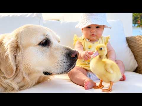 YouTube 썸네일