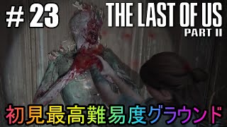 #23【The Last of Us Part II】初見最高難易度グラウンドで美少女たちが暴れん坊将軍