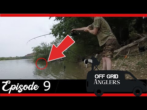 CARP FISHING SPAIN. MORE MONSTER EBRO CARP AND CATFISH.