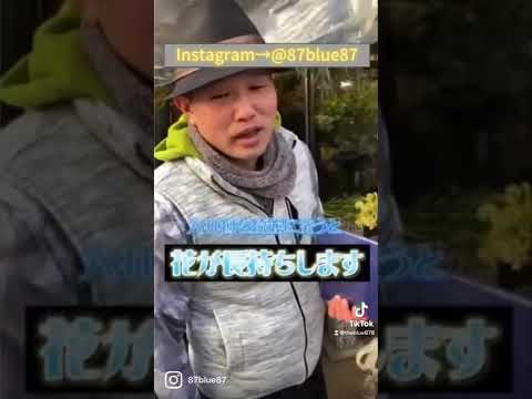 蘭の花を長持ちさせるための適切なケア  庭園