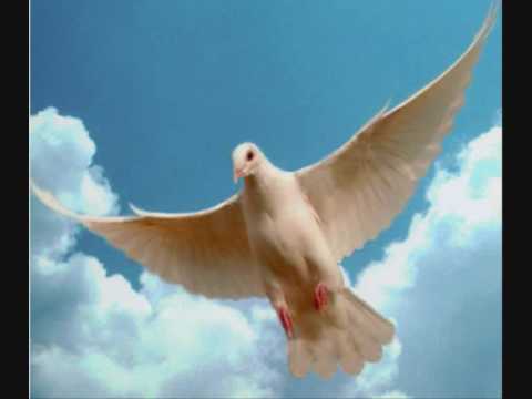 La Paloma video