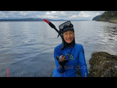 How to prepare live sea cucumber with Chef Robin Kort